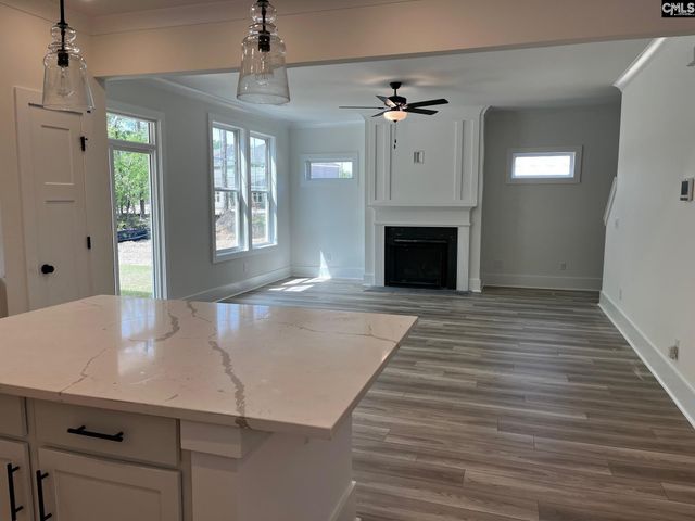 3037 Hanging Valley Road, Blythewood, SC 29016