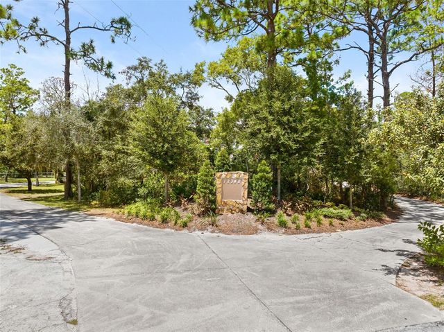 12348 TALPA STREET, Spring Hill, FL 34608