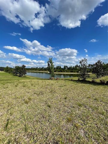 33234 SYCAMORE LEAF DRIVE, Wesley Chapel, FL 33545