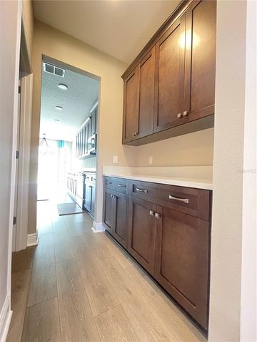 33234 SYCAMORE LEAF DRIVE, Wesley Chapel, FL 33545