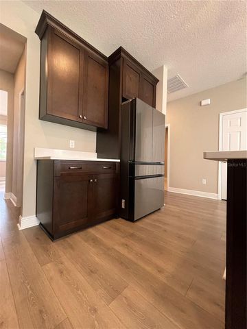 33234 SYCAMORE LEAF DRIVE, Wesley Chapel, FL 33545
