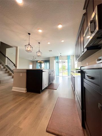 33234 SYCAMORE LEAF DRIVE, Wesley Chapel, FL 33545