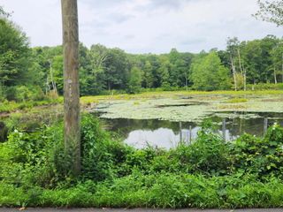 Bogg Lane, Lebanon, CT 06249