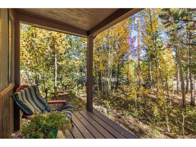 1239 GCR 49, Grand Lake, CO 80447