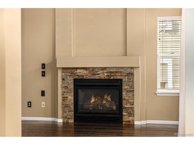 10244 Royal Eagle St, Highlands Ranch, CO 80129