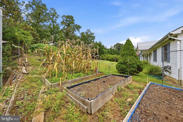 376 BLACK TWIG RD, Linden, VA 22642