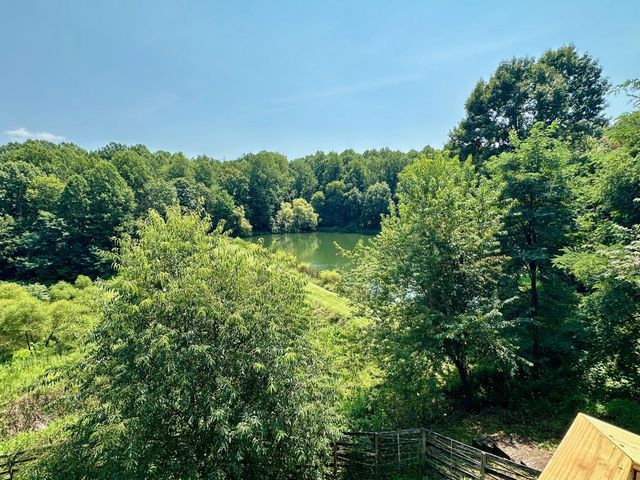 376 BLACK TWIG RD, Linden, VA 22642