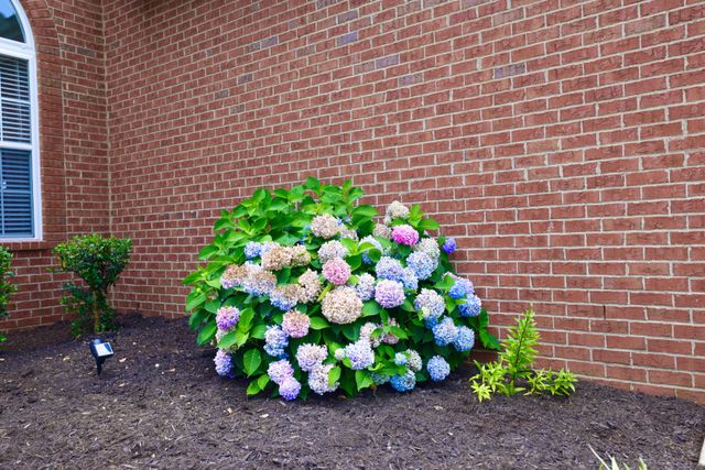 104 Camden Ct, N, Hendersonville, TN 37075