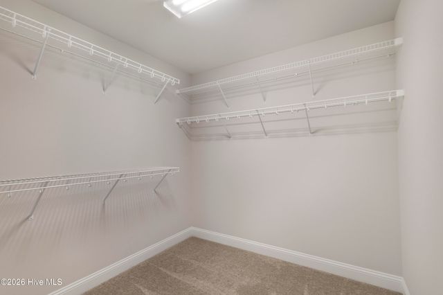 170 N Ardsley Lane, Rocky Point, NC 28457