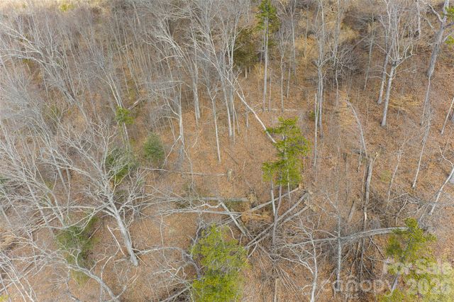 5 Longstreet Court 17, Weaverville, NC 28787