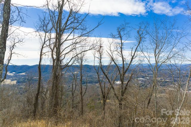 5 Longstreet Court 17, Weaverville, NC 28787