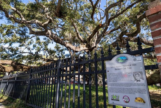 244 IRON AGE STREET, Safety Harbor, FL 34695