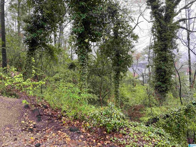 217 EDGEVIEW AVENUE, Homewood, AL 35209