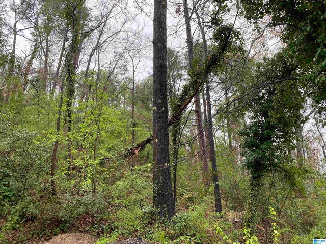 217 EDGEVIEW AVENUE, Homewood, AL 35209