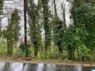 217 EDGEVIEW AVENUE, Homewood, AL 35209