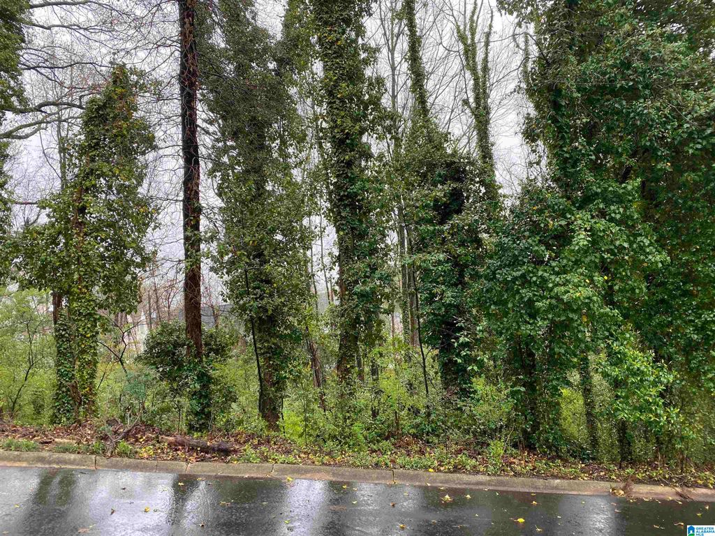 217 EDGEVIEW AVENUE, Homewood, AL 35209