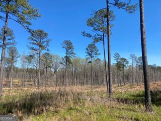 671 Giles Road, Forsyth, GA 31029