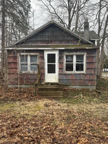 331 S Main Street, Bellevue, MI 49021