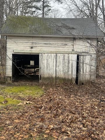 331 S Main Street, Bellevue, MI 49021