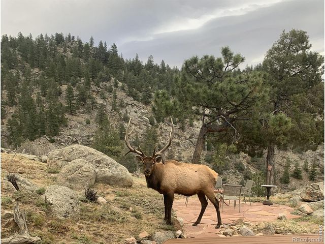 1006 Kneale Road, Eldorado Springs, CO 80025