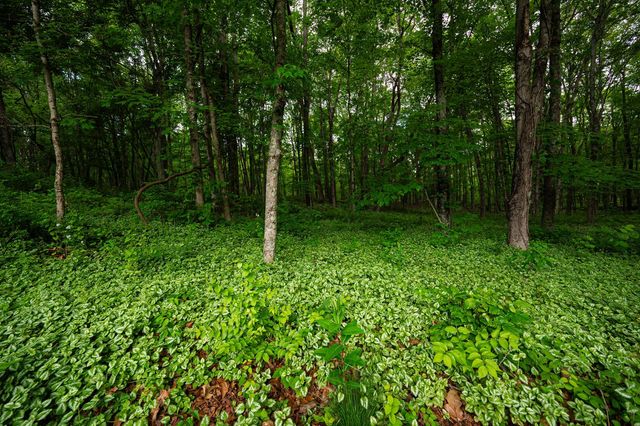 1959 Chapel Creek Road, Chillicothe, OH 45601