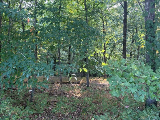 Panorama Road, Rogers, AR 72758