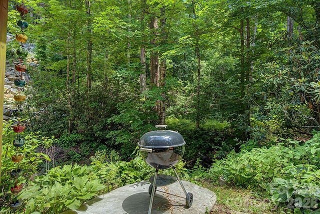 878 Garren Creek Road, Fairview, NC 28730