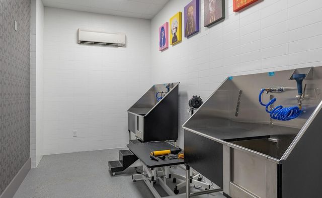 170 Malone Street 3303, Houston, TX 77007