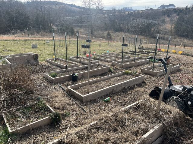 39 Meadow Ridge Lane, Harrison, AR 72601