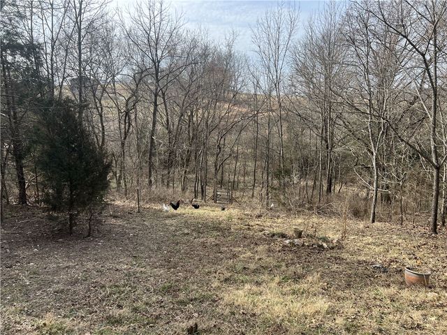 39 Meadow Ridge Lane, Harrison, AR 72601