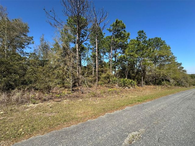 833 W CHAMPLAIN LANE, Citrus Springs, FL 34434