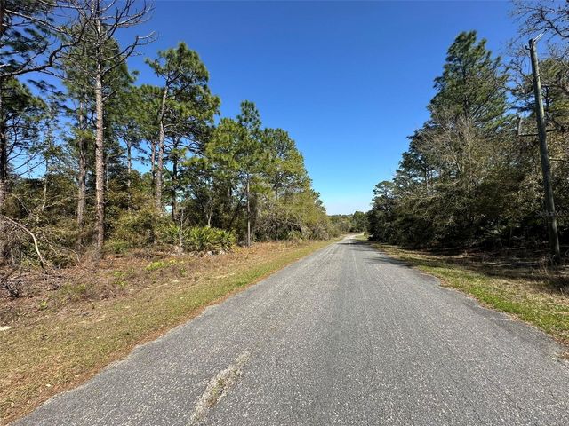 833 W CHAMPLAIN LANE, Citrus Springs, FL 34434