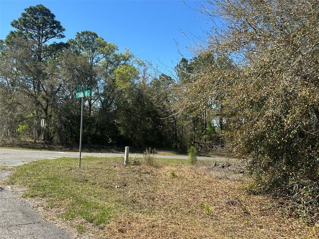 833 W CHAMPLAIN LANE, Citrus Springs, FL 34434