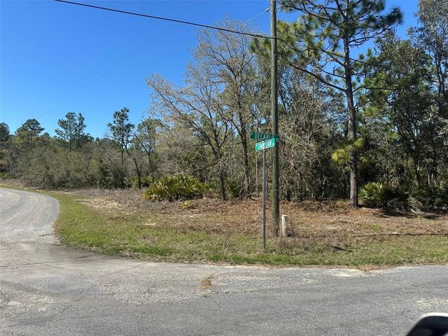 833 W CHAMPLAIN LANE, Citrus Springs, FL 34434