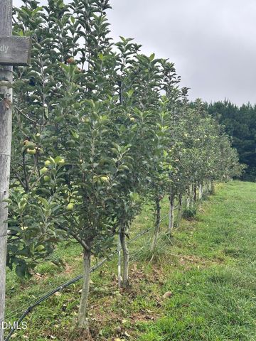 502 John Jones Road, Bahama, NC 27503