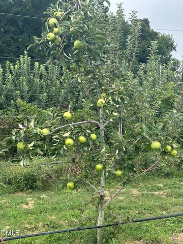 502 John Jones Road, Bahama, NC 27503