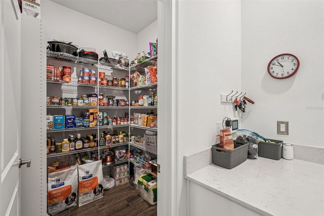 12847 BERGSTROM BAY DRIVE, Riverview, FL 33579