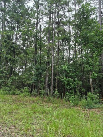 380 County Road 6494, Dayton, TX 77535