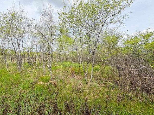 W6253 39th Street, New Lisbon, WI 53950
