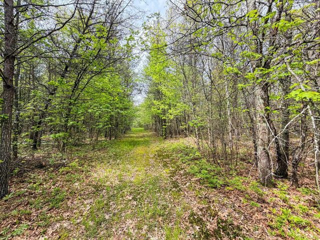 W6253 39th Street, New Lisbon, WI 53950