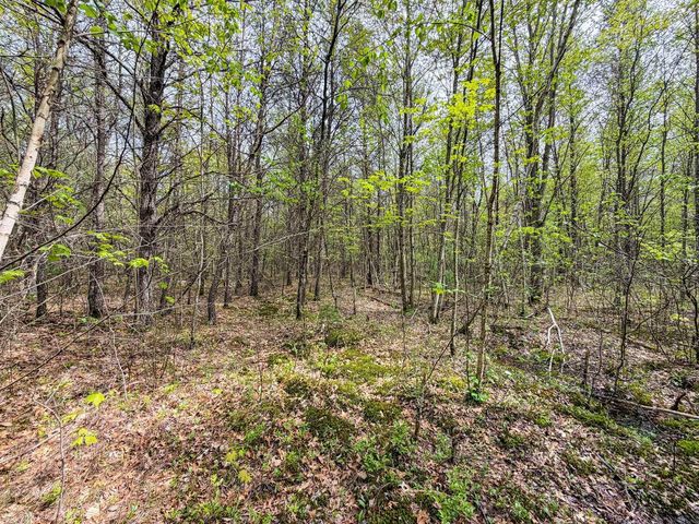 W6253 39th Street, New Lisbon, WI 53950