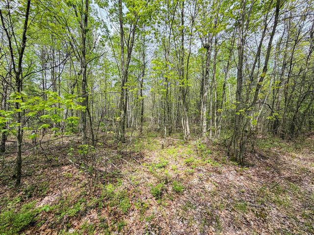 W6253 39th Street, New Lisbon, WI 53950