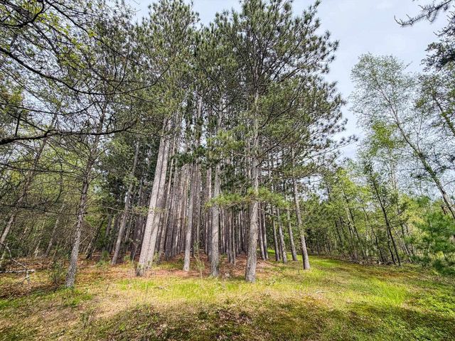 W6253 39th Street, New Lisbon, WI 53950