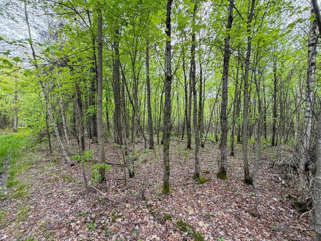 W6253 39th Street, New Lisbon, WI 53950