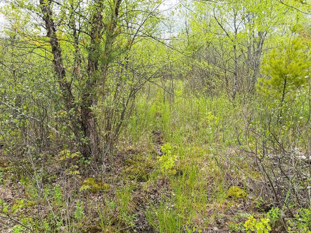 W6253 39th Street, New Lisbon, WI 53950