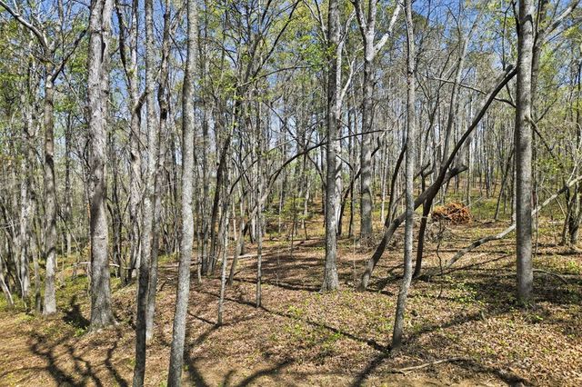 3094 Flat Bottom Road, Ball Ground, GA 30107