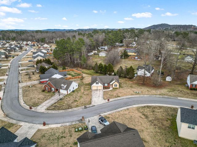 52 Creeks Jewell Drive, Ringgold, GA 30736