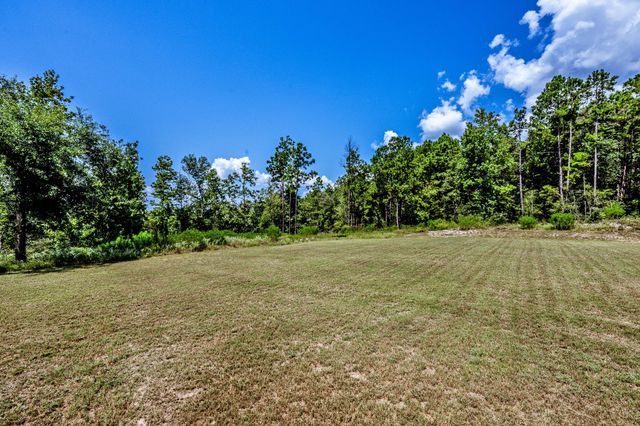 245 Blackjack Oak Drive, Trinity, TX 75862