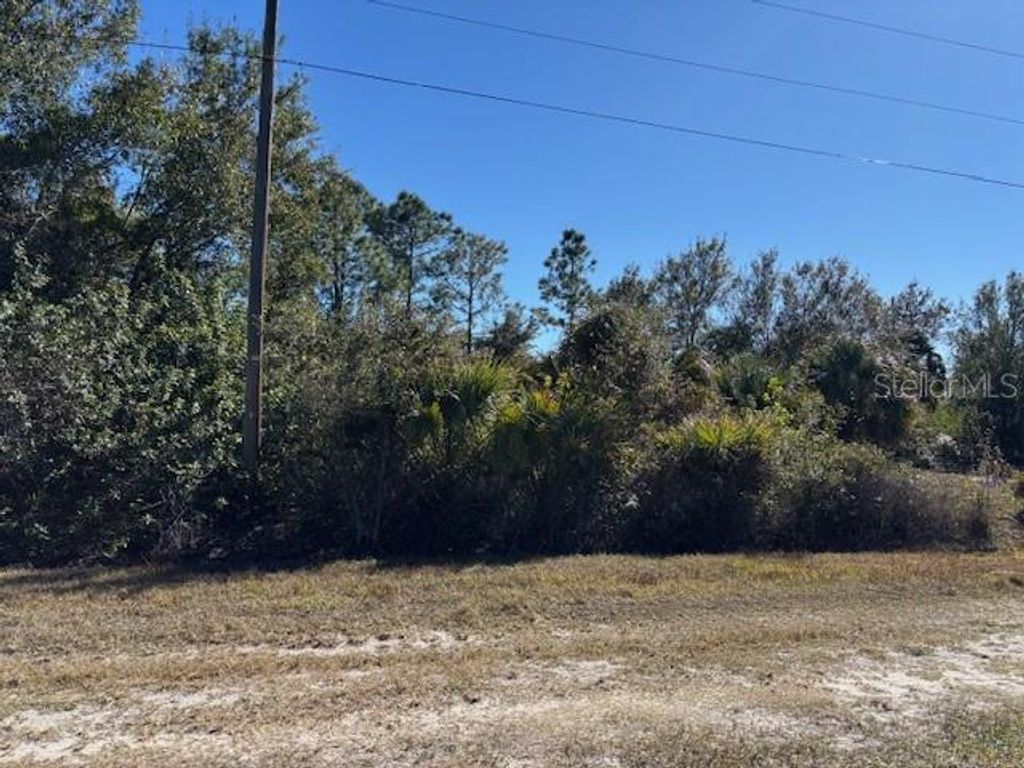 Image 2 of property listing at 28165 MONTE CRISTO DRIVE, Punta Gorda, FL 33955