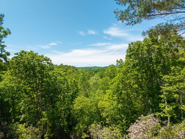 Lot 7 Briar Creek Court, Morganton, GA 30560
